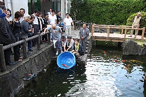 贈られたオーナー鯉を池に放す嶋田さんの画像