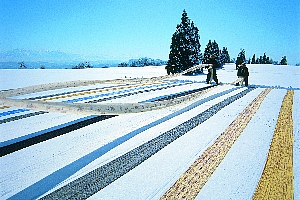 小千谷縮の雪さらしの画像