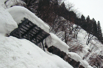 雪崩予防柵から張り出した雪の画像