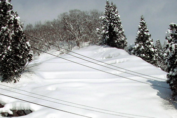 山の斜面に平らに積もった雪の画像