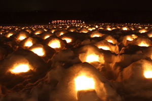 雪原を埋め尽くすほんやら洞の画像