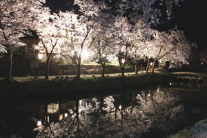 夜の船岡公園の画像1