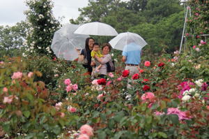 雨の中、機縁撮影をする来場者の画像