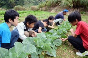 畑の草取りをする児童の画像