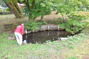 12km途中のお満ヶ池の画像