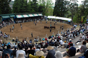 闘牛場の全景の画像