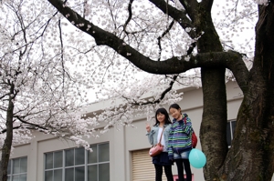 桜の木の下で写真を撮る子どもの画像