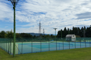 白山運動公園砂入り人工芝の画像2