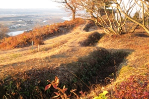 今も残っている塹壕の跡の画像