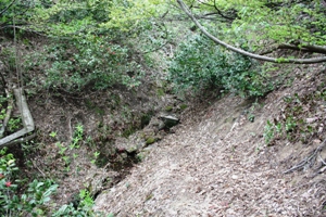 遺跡直下に今も湧き出る清水の画像