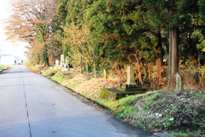 道路沿いに並ぶ塚の画像