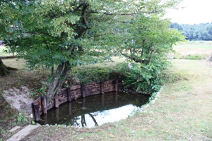 お満ヶ池の全景の画像