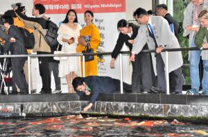 大使館関係者のみなさんと錦鯉の餌やり体験をする宮崎市長の画像